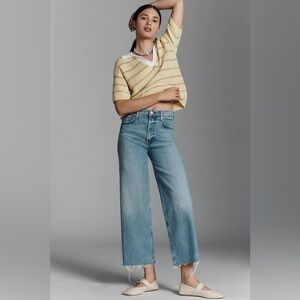 Agolde Light Blue High-Rise Straight Crop Jeans